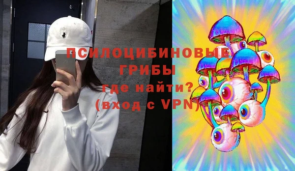 гидропоника Абаза