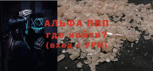 гидра Карпинск
