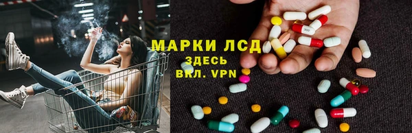 гидра Аркадак