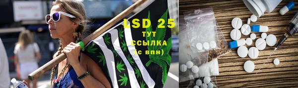 PSILOCYBIN Козельск